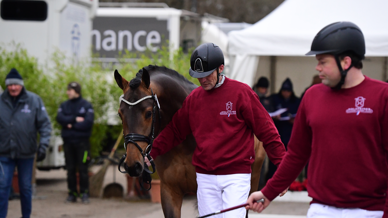 Pre-selection for the young stallion licensing