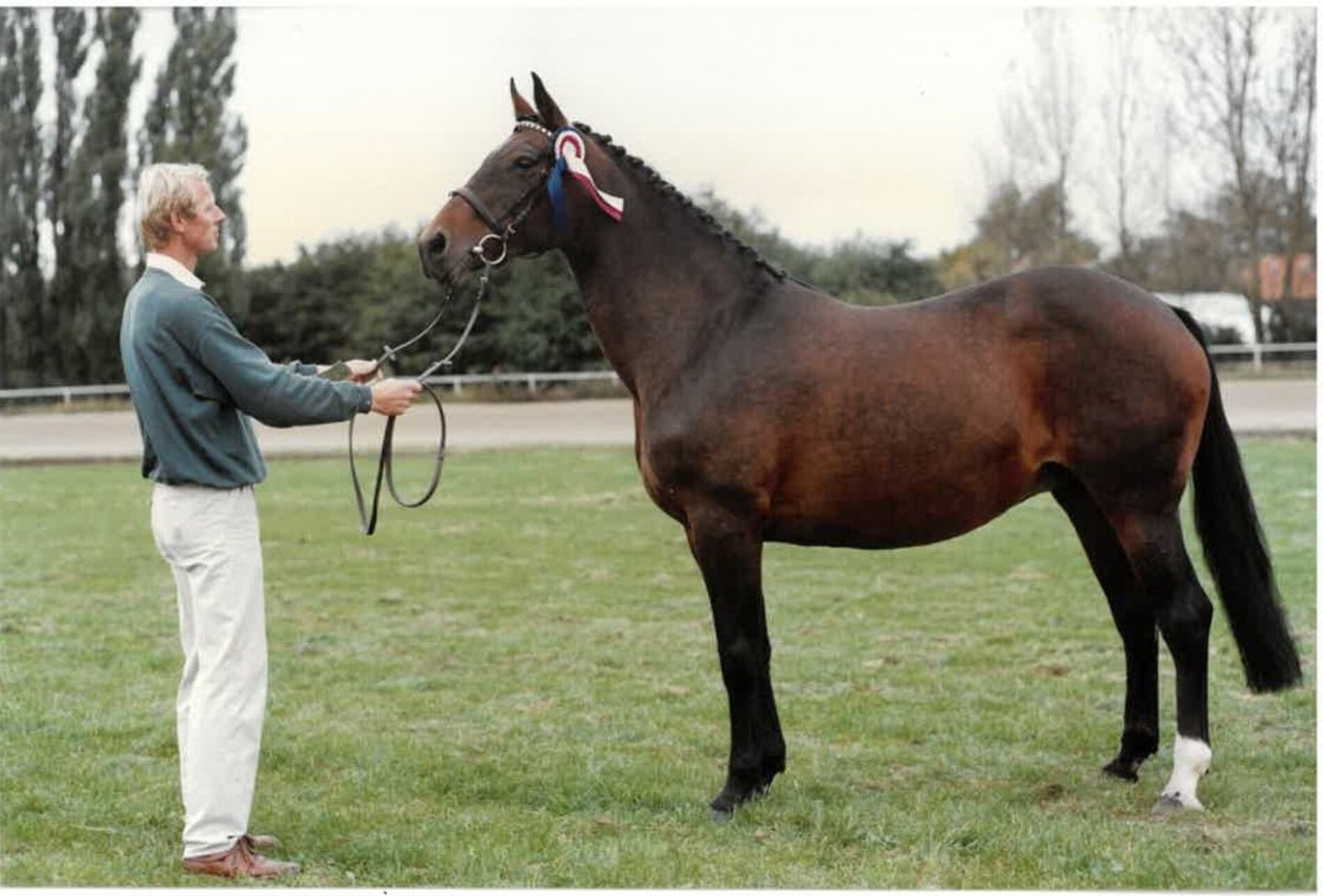 Gofine por Ramiro-Ladykiller xx (Dr. Hieronymus Koerner, Wedel)