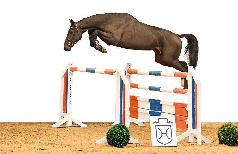 Update v. United Way