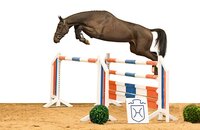 Update v. United Way