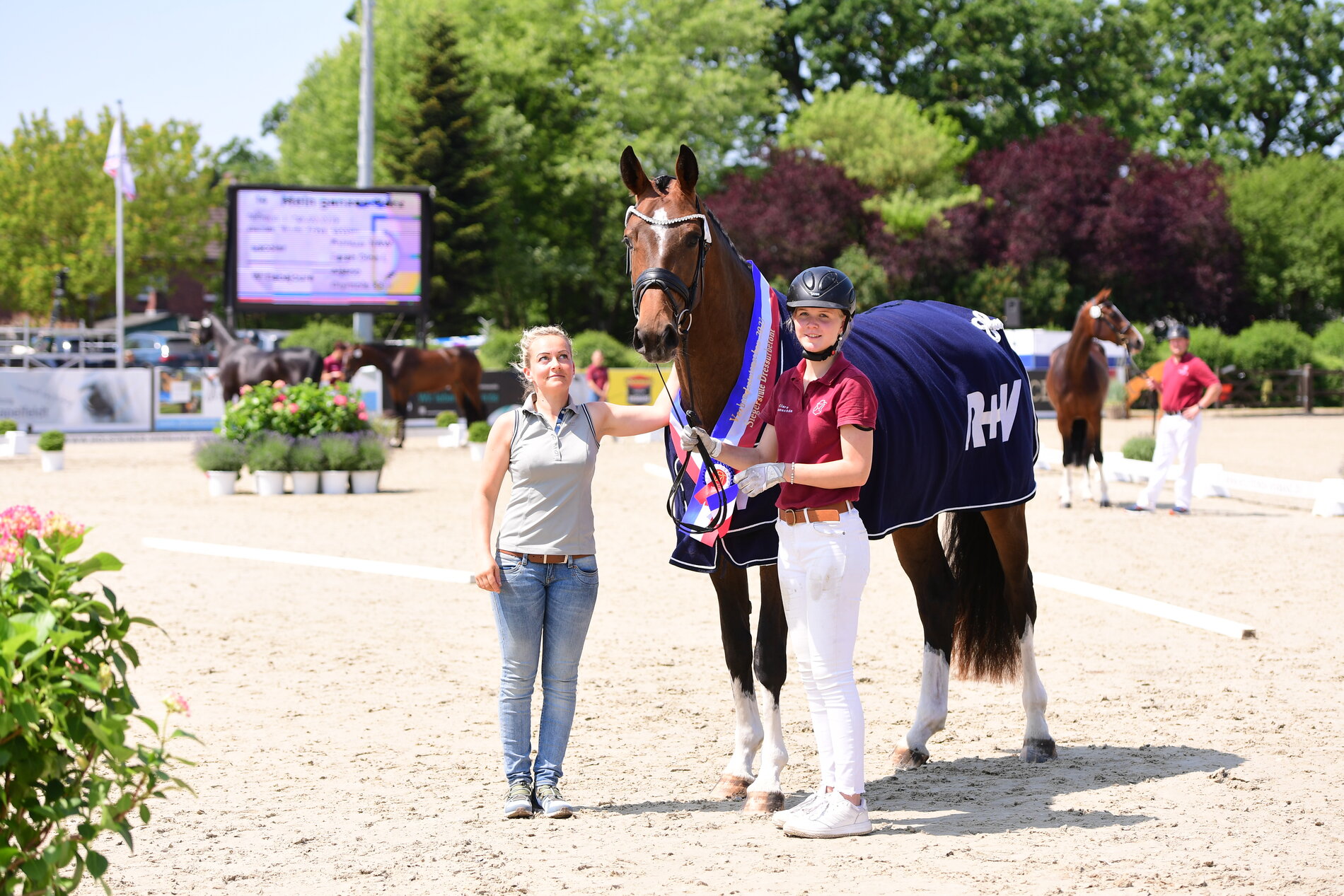 Champion (dressage bloodline) of the Verband Mare Show 2023: Mein ganzes Herz WK by Escolar - Aljano, breeder and owner: Wenke Kraus, Loccum (photo: Janne Bugtrup)