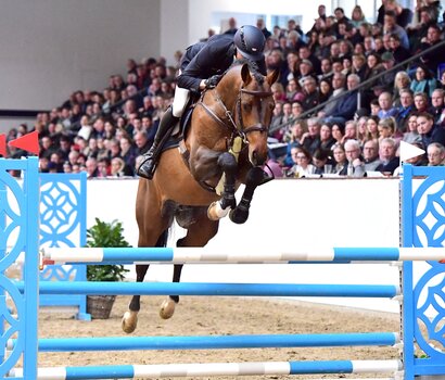 Zuccarello v. Zuccero-Uriko | © Janne Bugtrup